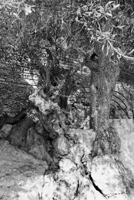 Agathes Traditional Houses Kastellos Bagian luar foto